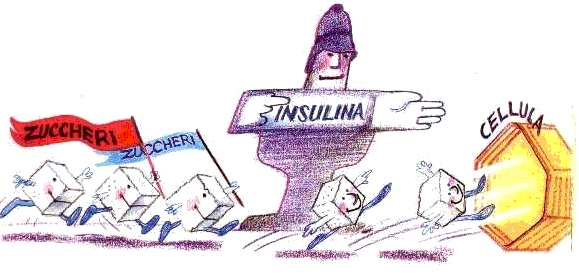 g. 5 L'insulina controlla la quantita' di zucchero sciolto