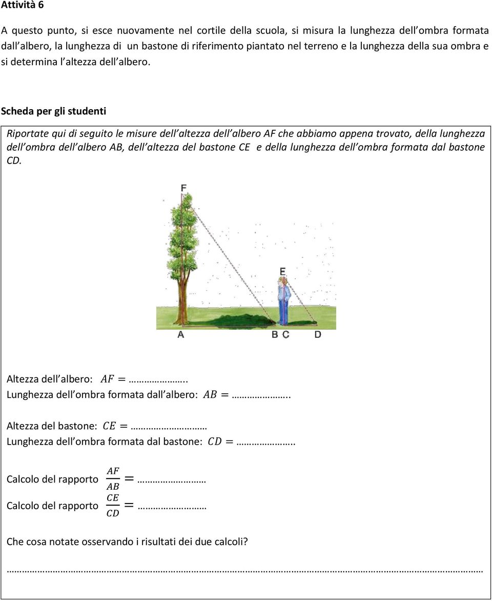 Riportate qui di seguito le misure dell altezza dell albero AF che abbiamo appena trovato, della lunghezza dell ombra dell albero A, dell altezza del bastone CE e della