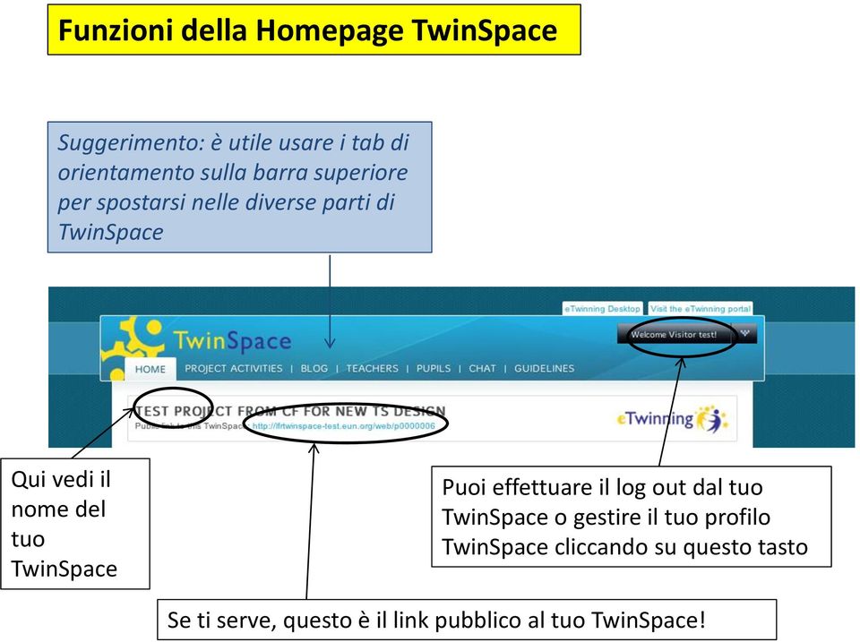 del tuo TwinSpace Puoi effettuare il log out dal tuo TwinSpace o gestire il tuo profilo