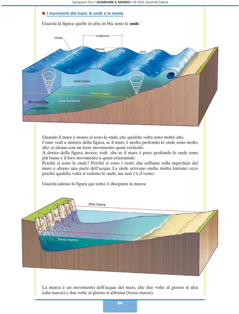 Come vedi a sinistra della figura, se il mare è molto profondo le onde sono molto alte: si alzano con un forte movimento quasi verticale.