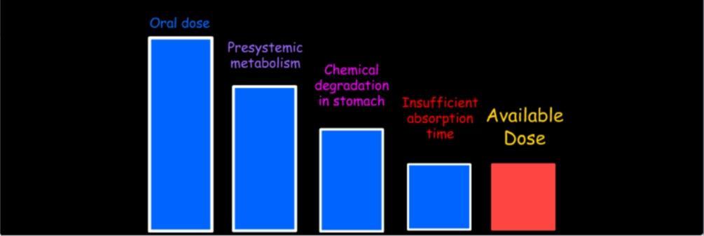 Assorbimento L assorbimento di un farmaco somministrato per via orale è limitato da vari fattori: metabolismo