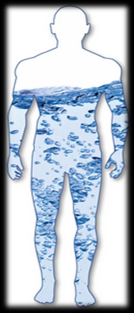 L acqua nel corpo umano L organismo umano adulto è costituito da una quantità di acqua molto elevata (circa il 60%) Valori